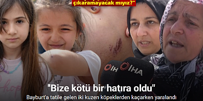 Bayburt’a tatile gelen iki kuzen köpeklerden kaçarken yaralandı