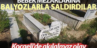 Bebek mezarlarına 'balyozlu saldırı' düzenlendi