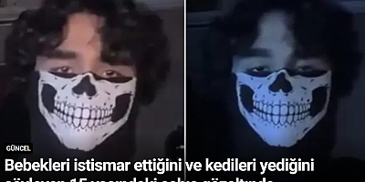 Bebekleri istismar ettiğini ve kedileri yediğini söyleyen 15 yaşındaki şahıs gözaltında