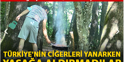 Belgrad Ormanı'nda yasağa rağmen mangal yapılmaya devam ediliyor