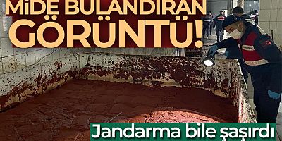 Besi çiftliğinde sağlıksız koşullarda ürettikleri salçayı vatandaşa yedireceklerdi