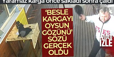 Beslediği karga anahtarı önce defterin arasına sakladı, sonra çaldı
