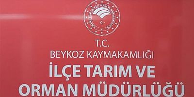 Beykoz Balık Ekmek İçin Çok Sayıda Memur Görevi Kötüye Kullandı