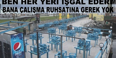 Beykoz balık ekmek ruhsatı olmadığından seyyar faaliyet olarak görünmektedir