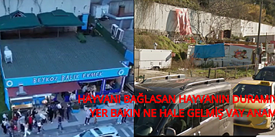 BEYKOZ BALIK EKMEK RUHSATLARINIZLA İLGİLİ CEVAP VERMEDİNİZ