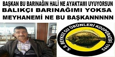 Beykoz  Balıkçı  Barınagı Ayaklı Meyhaneye Döndü Zeki Başkan Uyuyor