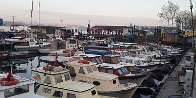 “BEYKOZ BALIKÇI BARINAĞINDA RUHSATSIZ TİCARET SKANDALI”