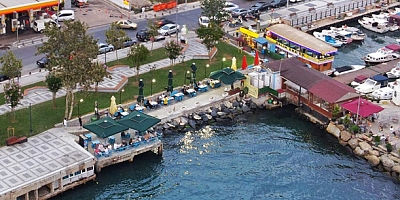 BEYKOZ BELEDİYESİ BU ADA PARSELDE YERİN NERESİ ?