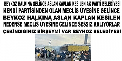 Beykoz Belediyesi Senin Tokat Köy Halkına Baş Kaldırıyorsun Ama Meclis Üyen Furkan Çelikere Gelince Kuzuların Sessizliğini Oynuyorsun