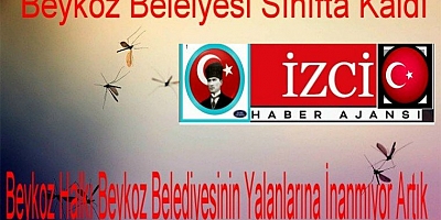 BEYKOZ BELEDİYESİ SİVRİSİNEK ÇALIŞMALARINDA HALKIN GÖZÜNDE SINIFTA KALDI 