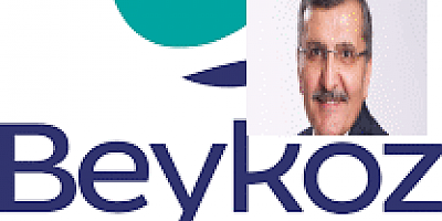 Beykoz Belediyesi Sokak hayvanları bakımıyla ilgili sınıfta kaldı bakın bu hayvanların bakımıyla ilgili kimden çağrı geldi.