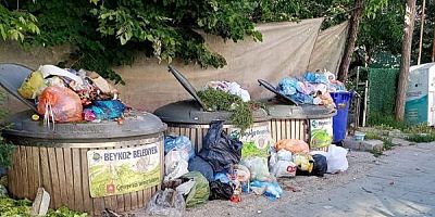 Beykoz Belediyesi Temizlik İşlerine Bakan Başkan  Sen Ne İş Yapıyorsun