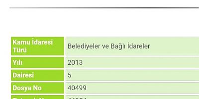 2013 yılında Beykoz belediyesi toplam; 326.025,-TL tutarında  kamu zararına uğratıldı