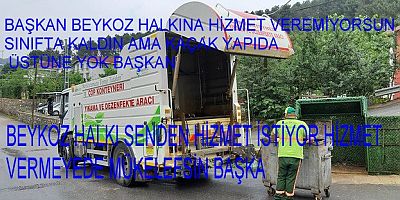 Beykoz Belediyesinin Çöp Konteynırları   Bayram Başladığından Bu Tarafa  Kokudan Geçilmiyor Ve Yıkanmıyor Halk İsyanda 