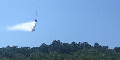 Beykoz’da ormanlık alanda yangın detayı