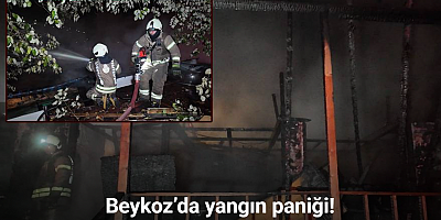 Beykoz’da şömineden çıkan yangın restoranı küle çevirdi