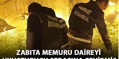 Beykoz'da uyuşturucu serasına çevrilen daireye baskın
