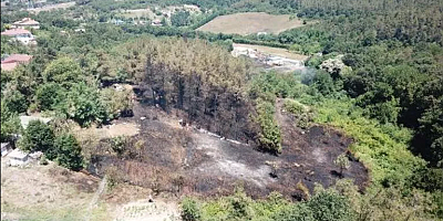 Beykoz'daki orman yangıyla ilgili bir kişi gözaltına alındı