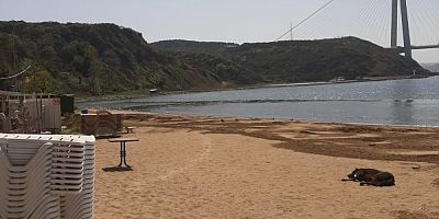 Beykoz ve Poyraz köyü halkının gözü aydın plaj betonlaştırılmıyor durduruldu