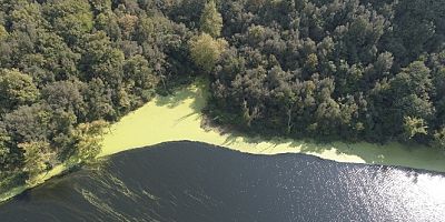 Beykoz  Elmalı Barajı'nın suyu yine yeşile döndü