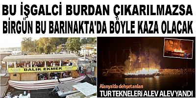Beykoz Halkı Ve Barınak Üyeleri Tedirgin Korku İçindeler