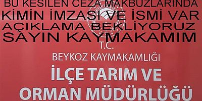 Beykoz İlçe Tarım Müdürlüğüne Beykoz halkı tarafından büyük tepki.