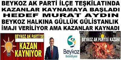 Beykoz İlçesi AK Parti İlçe Teşkilatında Bazı Kişiler Murat Aydını Hedef Aldılar