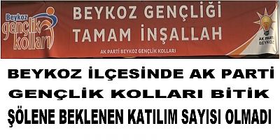 Beykoz İlçesi AKP Gençlik Kolları Bitik
