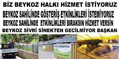 Beykoz İlçesinde Sivrisinek İlaçlanmasında Ve Temizlikte Sınıfta Kaldı Halk İsyanda 