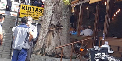 Beykoz pide börek salonu işletmesine büyük tepki 