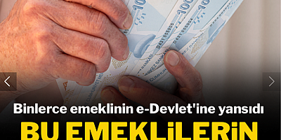 Binlerce emeklinin e-Devlet'ine yansıdı: Bu emeklilerin maaşı tehlikede