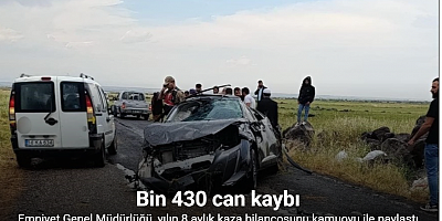 Bir ayda 230 kişi yollarda öldü