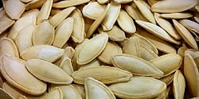 Bir buçuk yıllık öksürüğün sebebi kabak çekirdeği çıktı