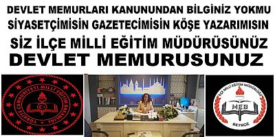 Bir Devlet Memuru X Bir Gazetede Köşe Yazarlığı Yapması Doğrumu