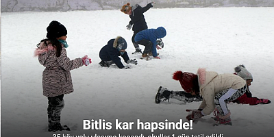 Bitlis kar hapsinde