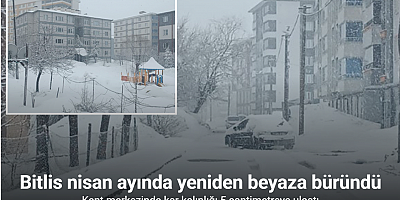 Bitlis nisan ayında yeniden beyaza büründü