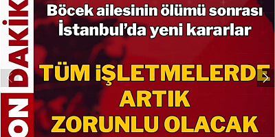 Böcek ailesinin ölümü sonrası İstanbul'da yeni karar! Tüm işletmelerde artık zorunlu olacak
