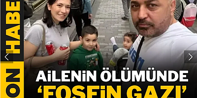 Böcek ailesinin ölümünde 'fosfin gazı' tespit edildi