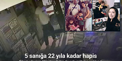 Böcek ailesinin ölümüne ilişkin davada mütalaa
