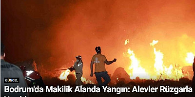 Bodrum'da Makilik Alanda Yangın: Alevler Rüzgarla Yayıldı
