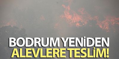 Bodrum yeniden alevlere teslim oldu