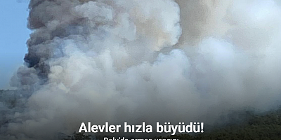 Bolu’da orman yangını