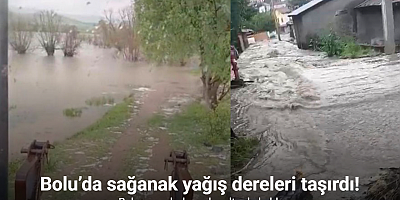 Bolu’da sağanak yağış dereleri taşırdı: Bahçe ve ahırlar sular altında kaldı