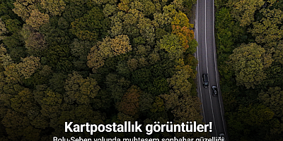 Bolu-Seben yolunda muhteşem sonbahar güzelliği