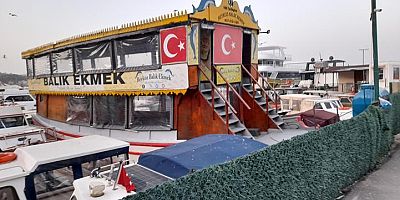 Bu Barınakta Bir Kaza Yaşanırsa Bunun Hesabını Kim Verecek