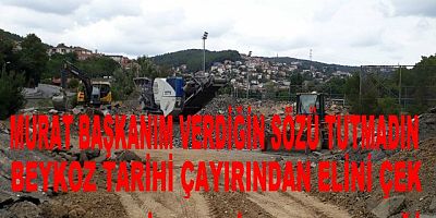 BU BEYKOZUN TARİHİ  ÇAYIRIN HALİ NEDİR?