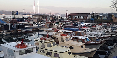 Bu Bölgenin Yetkili Mercileri  Yok mu  İlgili Makamlar Niye Üç Maymunu Oynuyor