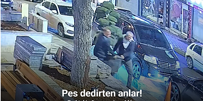 Bu da ağaç hırsızlığı: Parktaki ağacı araçla çaldılar