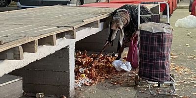 Bu hale geldik demekte artıklarla doymaya çalışıyoruz