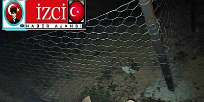              BU KÖYDE ORMAN ARAZİLERİNİ KİMLER YAĞMALIYOR 